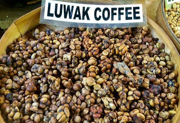 сколько стоит кофе лювак во вьетнаме