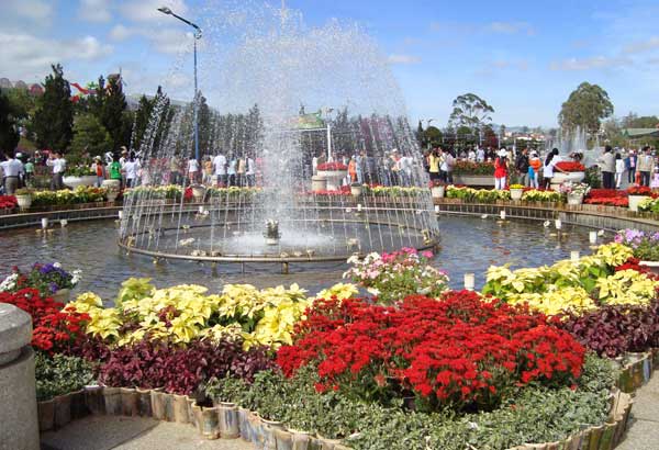 Сад цветов в парке Пренн Далат