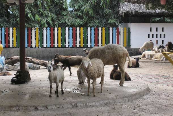 Хошиминский зоопарк